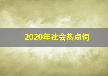 2020年社会热点词