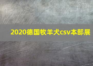 2020德国牧羊犬csv本部展