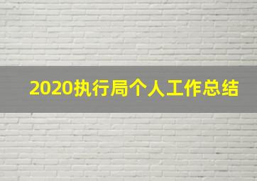 2020执行局个人工作总结