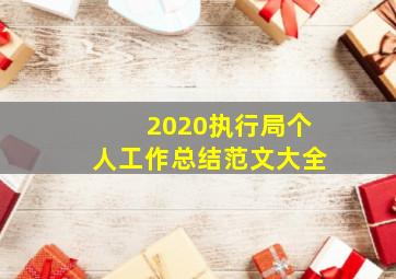 2020执行局个人工作总结范文大全