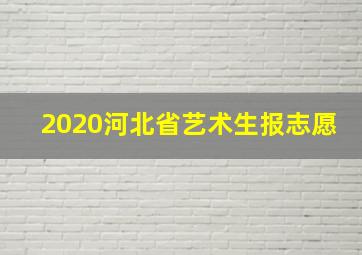 2020河北省艺术生报志愿