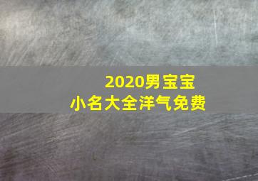 2020男宝宝小名大全洋气免费