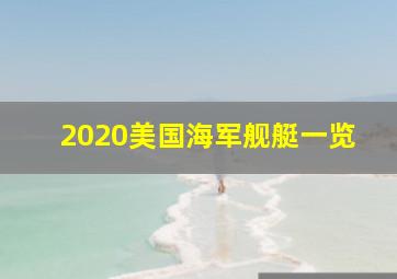 2020美国海军舰艇一览