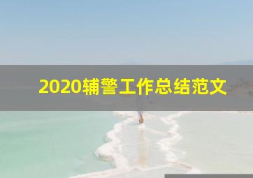 2020辅警工作总结范文