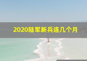 2020陆军新兵连几个月