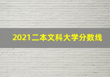 2021二本文科大学分数线