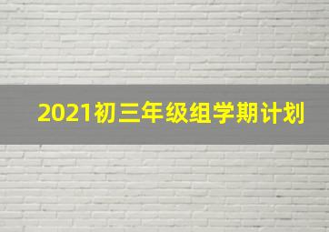 2021初三年级组学期计划