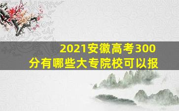 2021安徽高考300分有哪些大专院校可以报