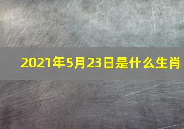 2021年5月23日是什么生肖