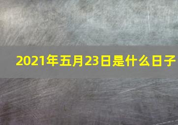 2021年五月23日是什么日子