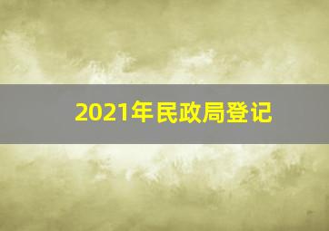 2021年民政局登记