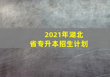 2021年湖北省专升本招生计划