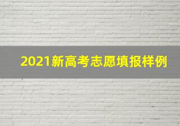 2021新高考志愿填报样例