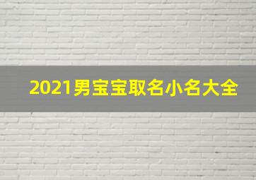 2021男宝宝取名小名大全