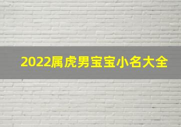 2022属虎男宝宝小名大全