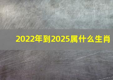 2022年到2025属什么生肖