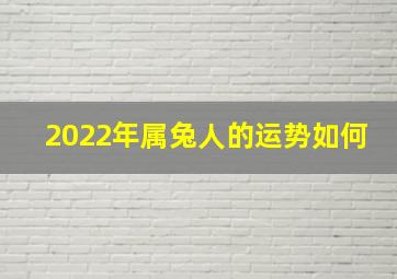 2022年属兔人的运势如何