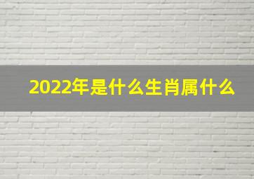 2022年是什么生肖属什么