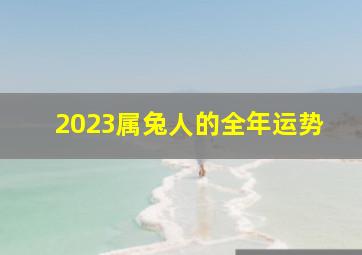 2023属兔人的全年运势