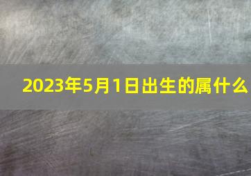 2023年5月1日出生的属什么