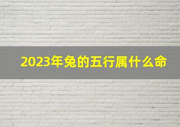 2023年兔的五行属什么命