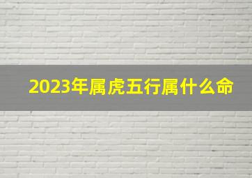 2023年属虎五行属什么命