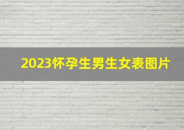 2023怀孕生男生女表图片