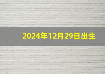 2024年12月29日出生