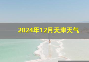 2024年12月天津天气