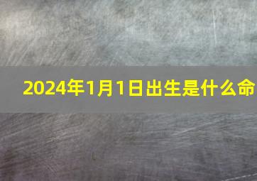 2024年1月1日出生是什么命