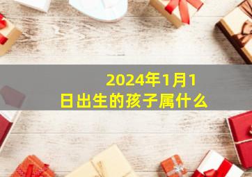 2024年1月1日出生的孩子属什么