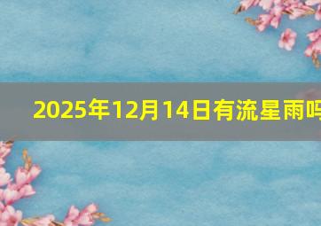 2025年12月14日有流星雨吗