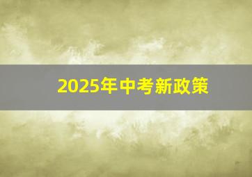 2025年中考新政策