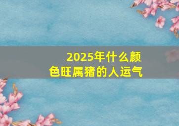 2025年什么颜色旺属猪的人运气