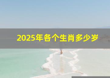 2025年各个生肖多少岁