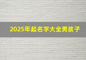 2025年起名字大全男孩子