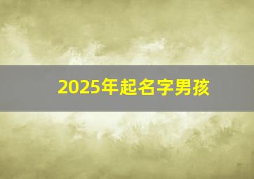 2025年起名字男孩