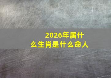 2026年属什么生肖是什么命人