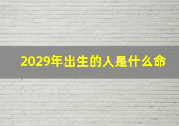 2029年出生的人是什么命