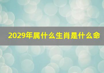 2029年属什么生肖是什么命