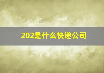 202是什么快递公司