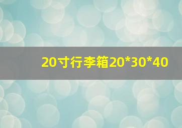 20寸行李箱20*30*40