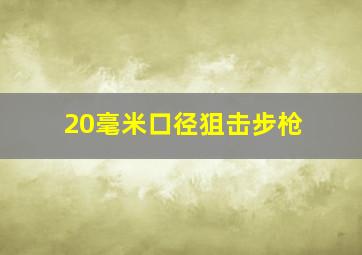 20毫米口径狙击步枪