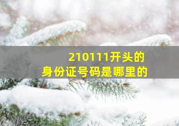 210111开头的身份证号码是哪里的