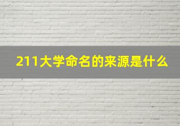 211大学命名的来源是什么