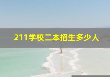 211学校二本招生多少人