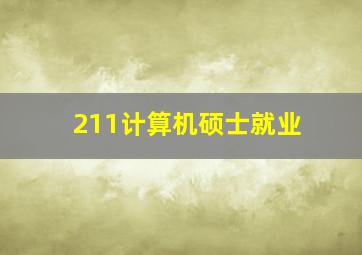 211计算机硕士就业