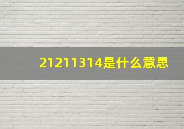 21211314是什么意思