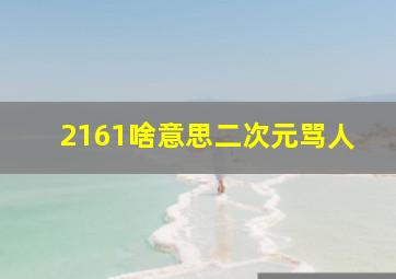 2161啥意思二次元骂人