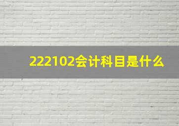 222102会计科目是什么